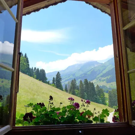 Grossen Apartment Frutigen